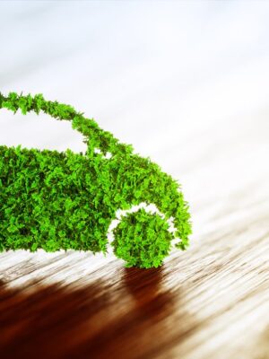 Bringing Eco Conscious Thinking to Your Vehicle