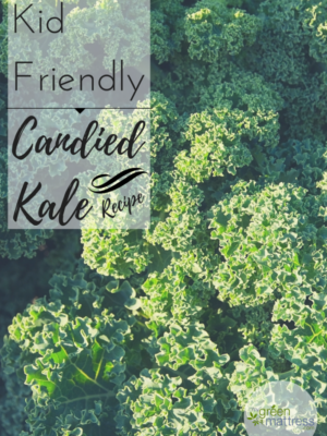 Candied Kale Recipe