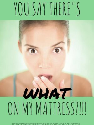 DIY Mattress Freshening