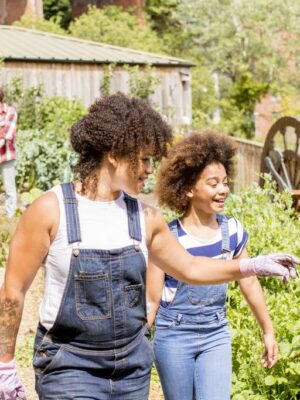 Everything You Need to Know About Creating a Community Garden