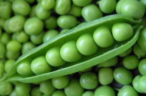 Pea Season Easter… SALAD