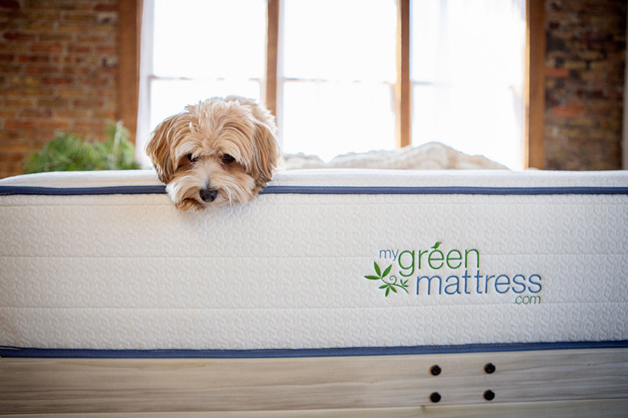 A Guide to Cleaning Various Messes on Your Mattress