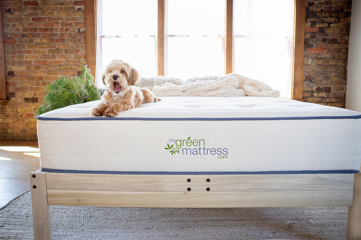 Mouth Taping for Sleep: How Does It Work and Benefit You?