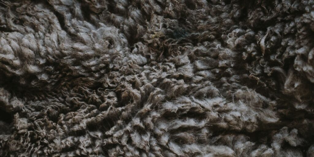 closeup of organic wool