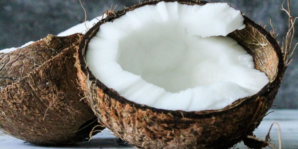 coconut halves 4