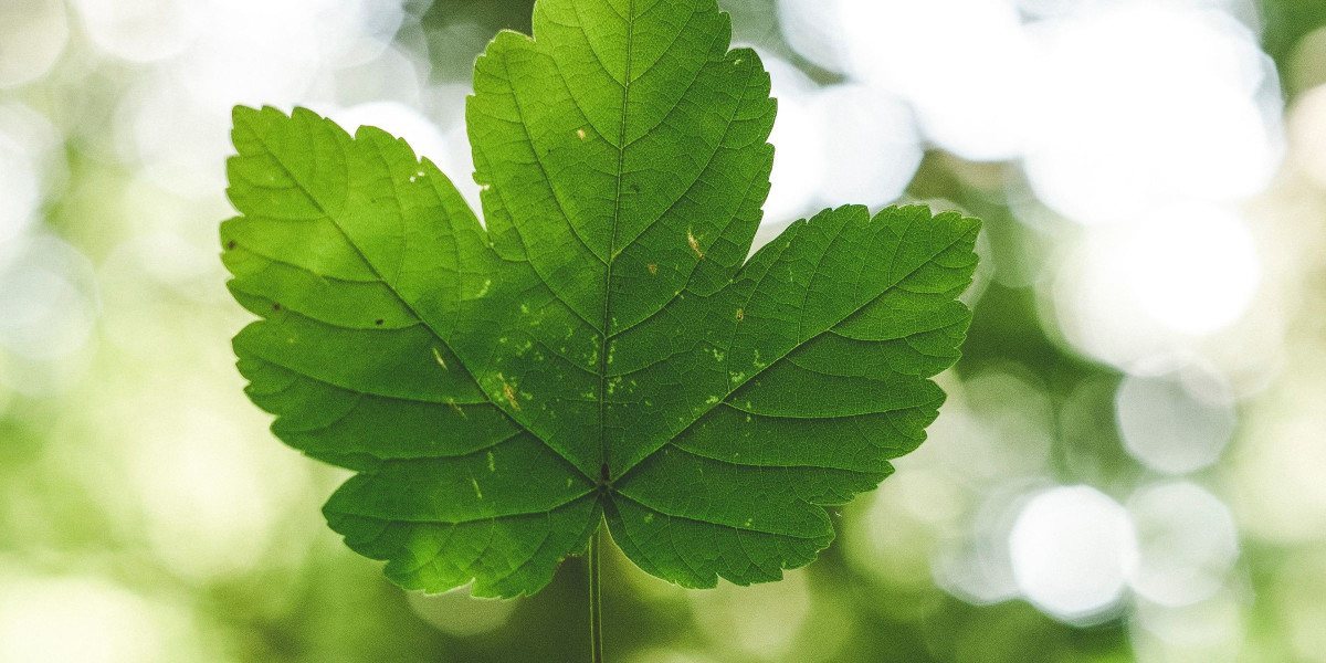 The 73 Most Mind-Blowing Environmental Statistics Out There