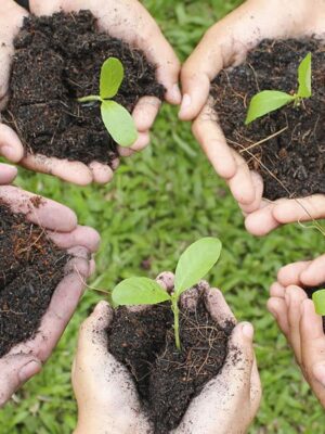 community gardening