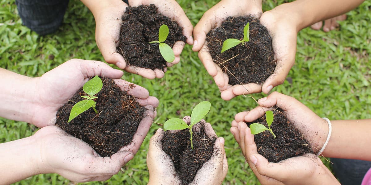 The Benefits of Community Gardening