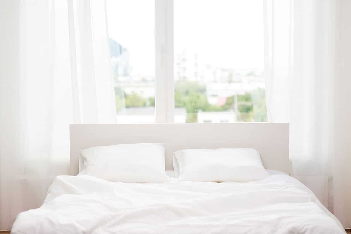 Creating an Allergy-Free Home