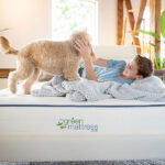Boy playing with dog on Kiwi organic mattress made with GOTS cotton and latex