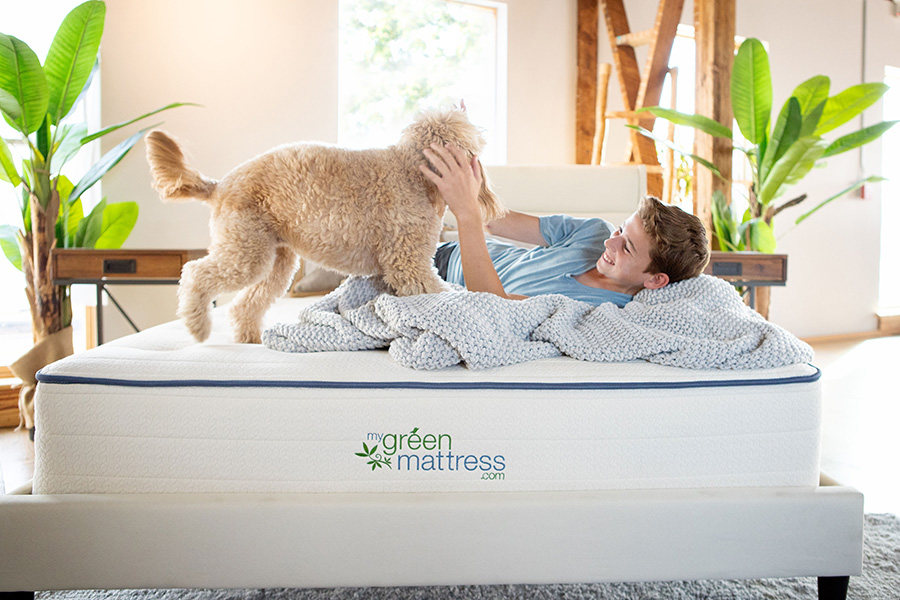 Kiwi-Featured-Image.jpg Boy playing with dog on Kiwi organic mattress made with GOTS cotton and latex
