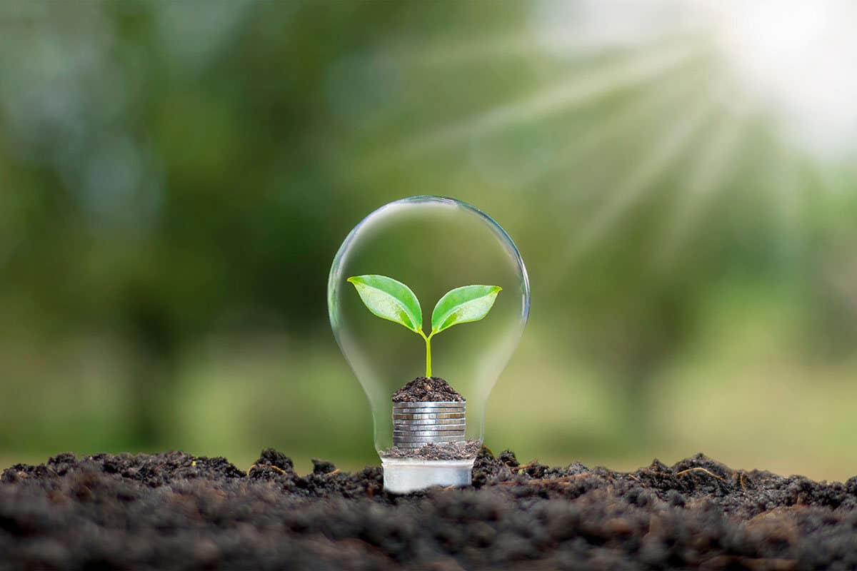 Powering the Future: Making the Switch to a Renewable Energy Household