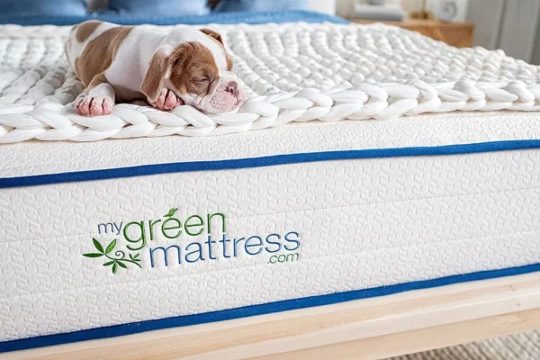 Most Affordable Organic Mattress | Kiwi Hybrid Mattress