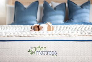 puppy on mattress