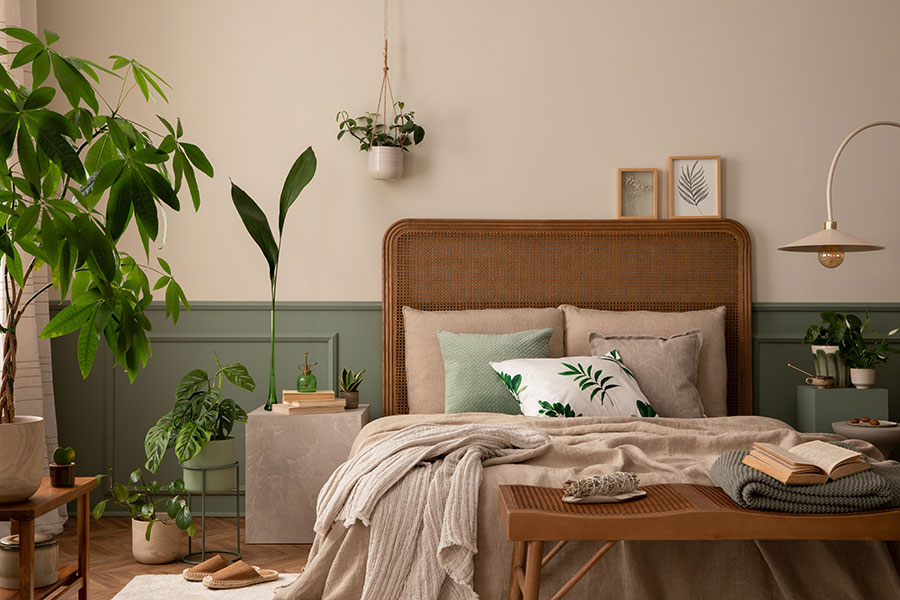 Plants & Sleep: What Plants to Keep in Your Bedroom to Support Sleep