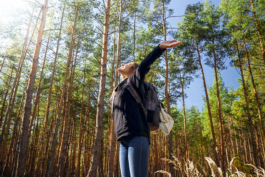 Using the Outdoors to Relieve Stress: What You Should Know About Forest Therapy