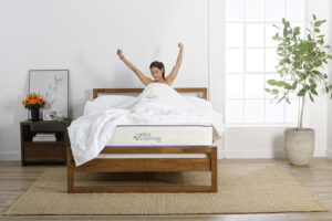 Adult Room Set Kiwi Queen Mattress1267