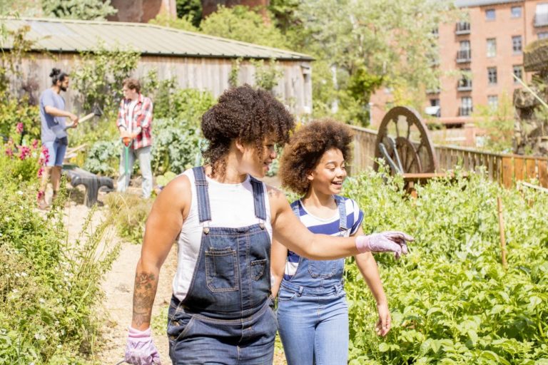 Everything You Need to Know About Creating a Community Garden