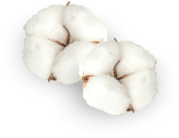 cotton